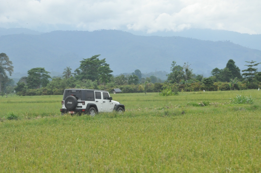 A key challenge for Andi Hatta Marakarma, East Luwu's 2015 district head, was directing revenue from mining back into development. (East Luwu Humas Pemkab) A car drives along a concrete road among tall crop fields.