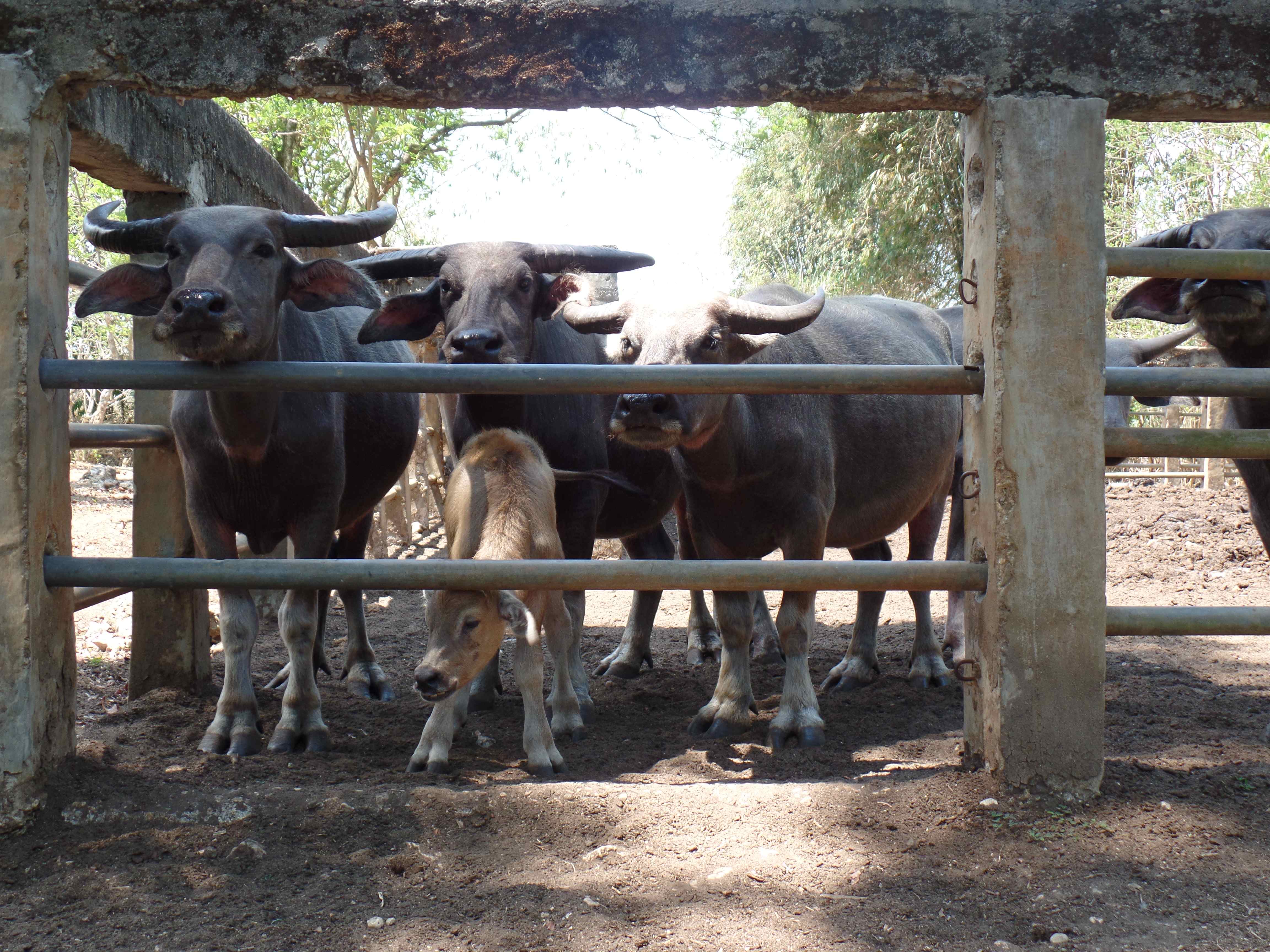 Cash for the cashless